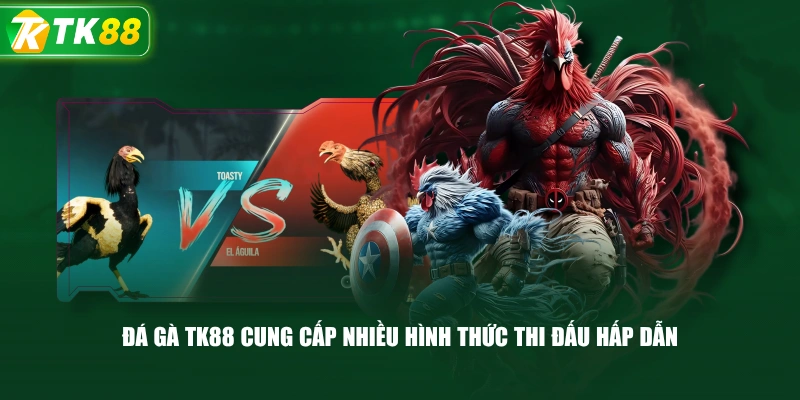 Đá Gà TK88 Cung Cấp Nhiều Hình Thức Thi Đấu Hấp Dẫn