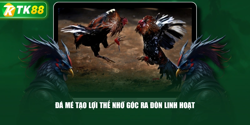 Đá Mé Tạo Lợi Thế Nhờ Góc Ra Đòn Linh Hoạt 