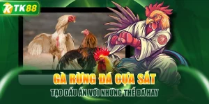 Gà Rừng Đá Cựa Sắt Tạo Dấu Ấn Với Những Thế Đá Hay
