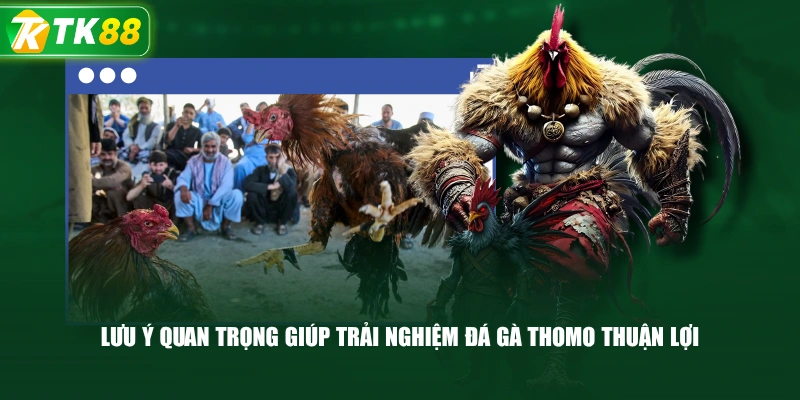Lưu Ý Quan Trọng Giúp Trải Nghiệm Đá Gà Thomo Thuận Lợi 