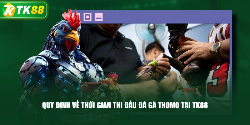 Quy Định Về Thời Gian Thi Đấu Đá Gà Thomo Tại TK88